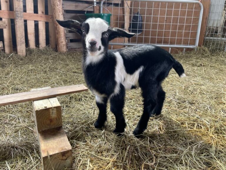 Crafting the Perfect Blog Structure: A Guide for Effective Blogging