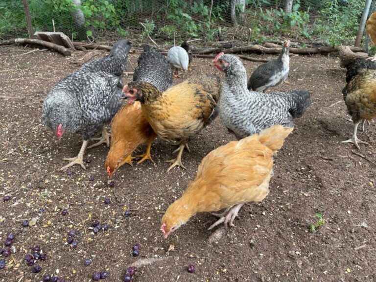 Effective Blog Promotion: Strategies to Increase Your Reach